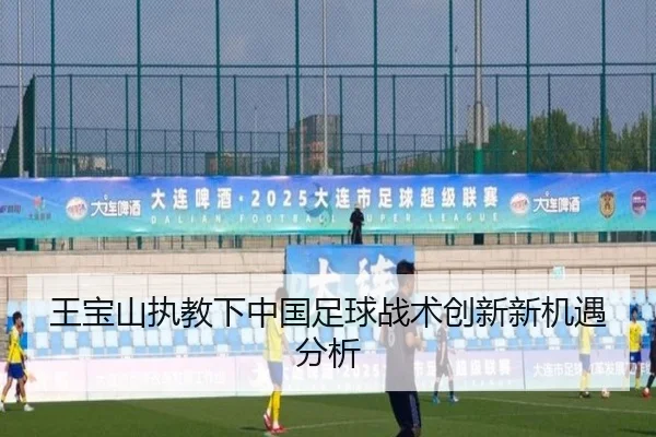 王宝山执教下中国足球战术创新新机遇分析