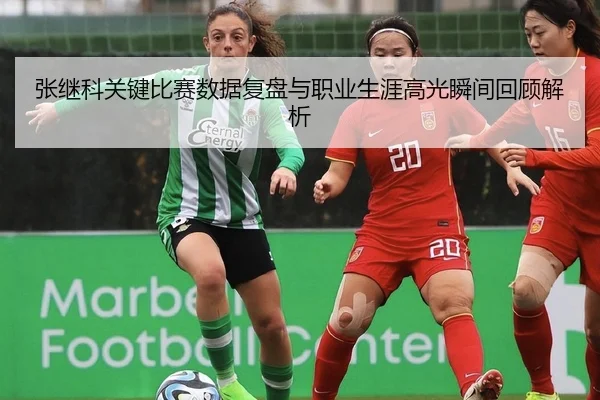 张继科关键比赛数据复盘与职业生涯高光瞬间回顾解析