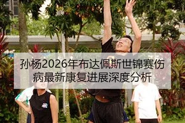 孙杨2026年布达佩斯世锦赛伤病最新康复进展深度分析